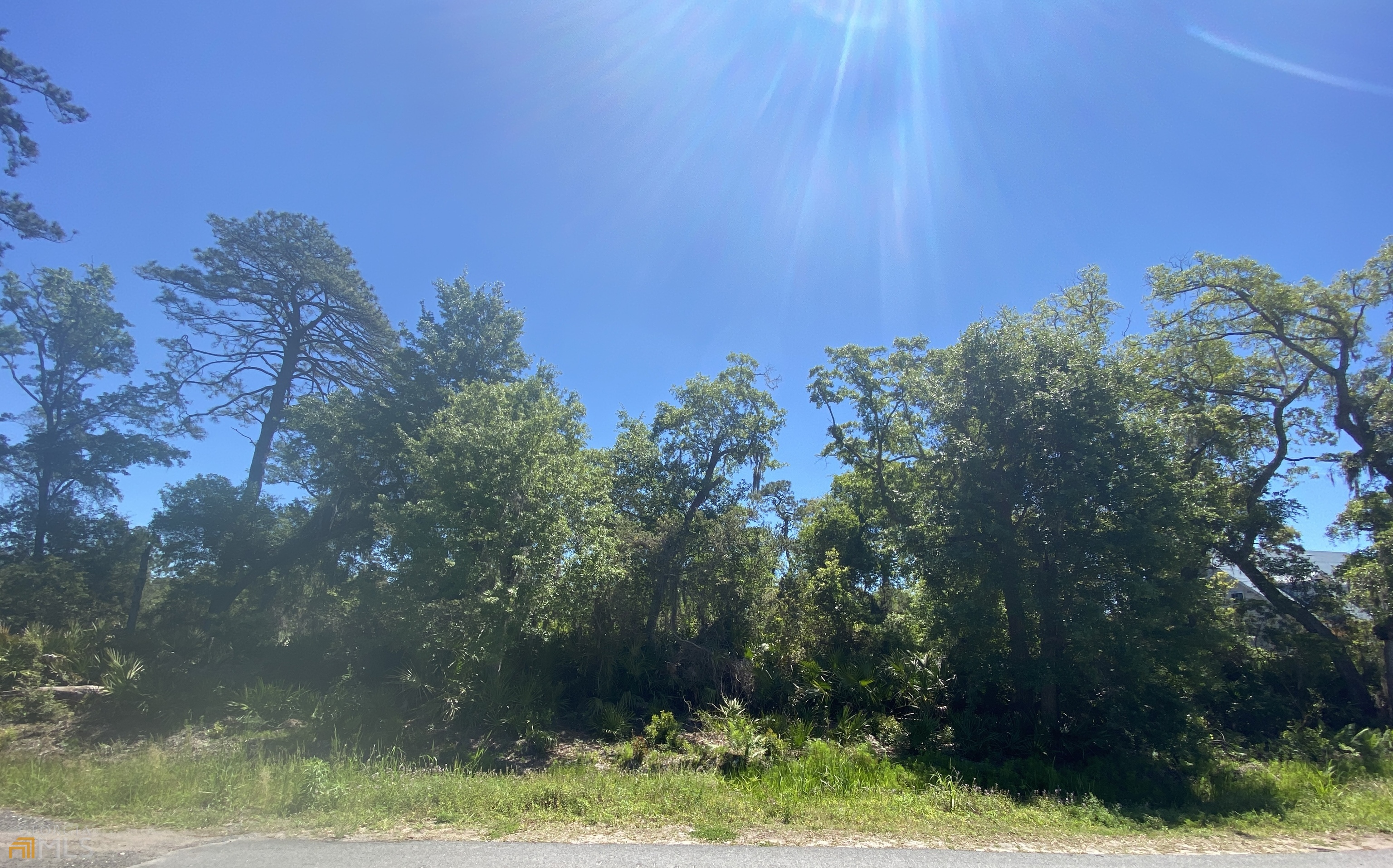 0 Orchard Road St. Simons Island, GA 31522 - Photo 1 of 1 a view of a yard
