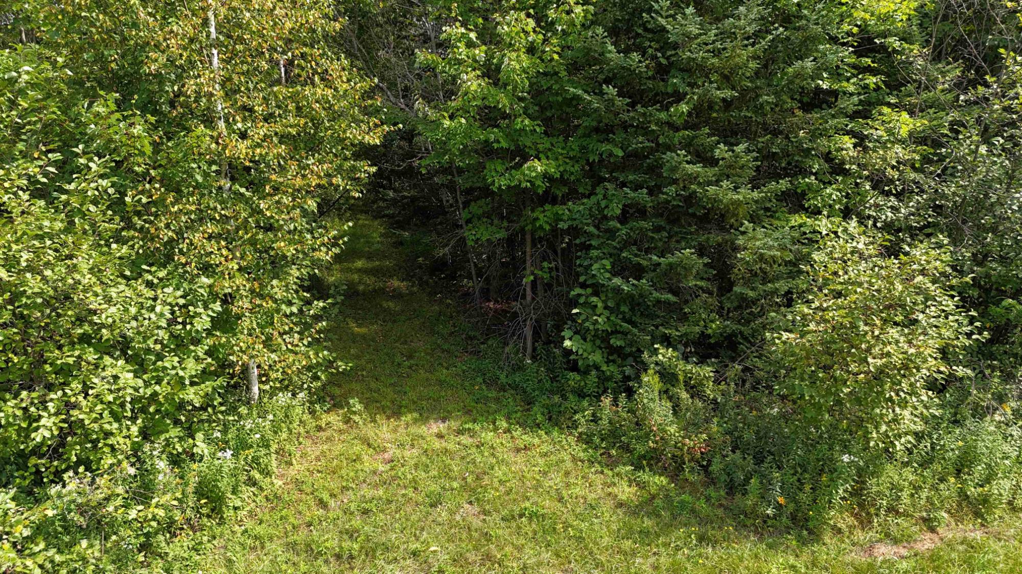 N5402 Aspen Road Brantwood, WI 54513 - Photo 13 of 27 Gallery Image 13