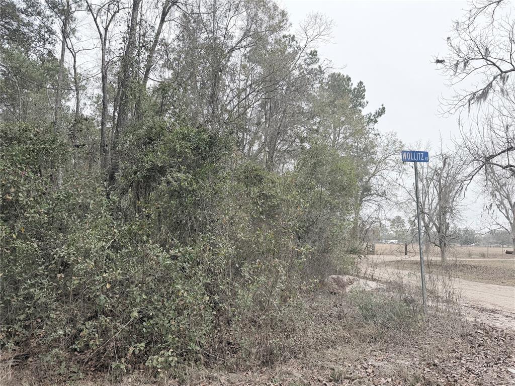 Wollitz Road Glen St. Mary, FL 32040 - Photo 2 of 7