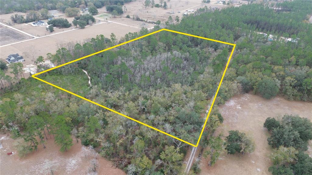 Wollitz Road Glen St. Mary, FL 32040 - Photo 3 of 7