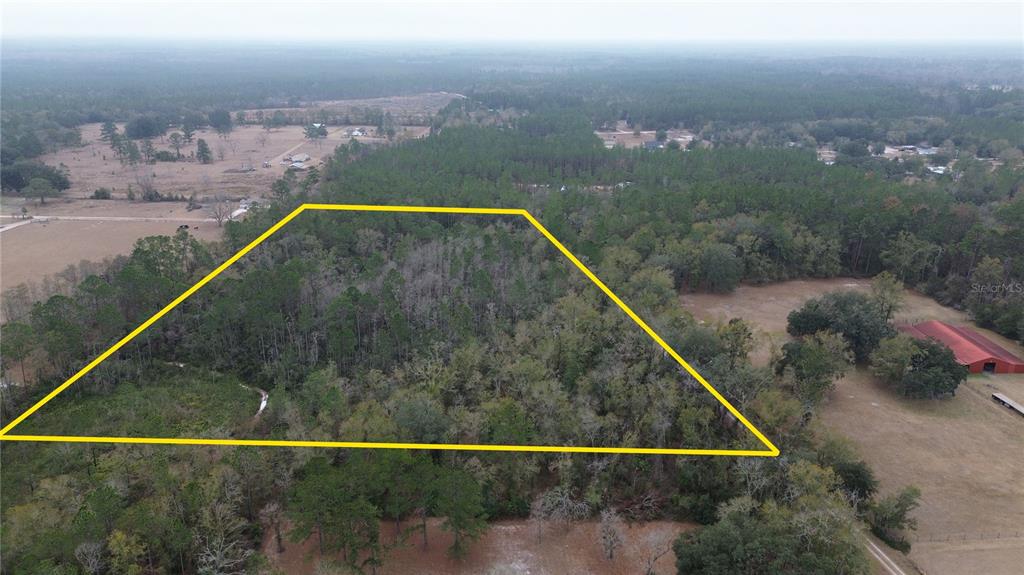 Wollitz Road Glen St. Mary, FL 32040 - Photo 4 of 7