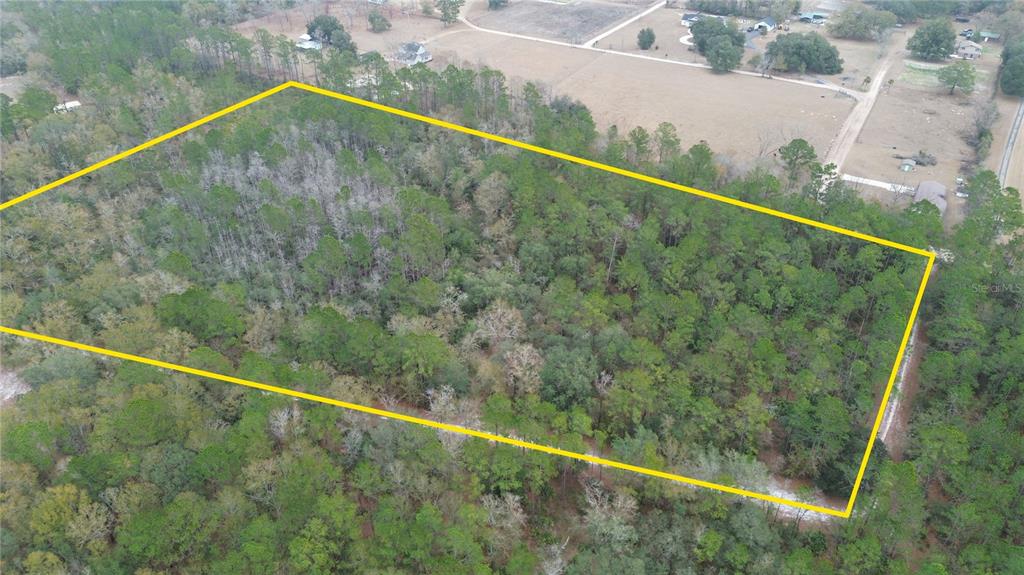 Wollitz Road Glen St. Mary, FL 32040 - Photo 5 of 7