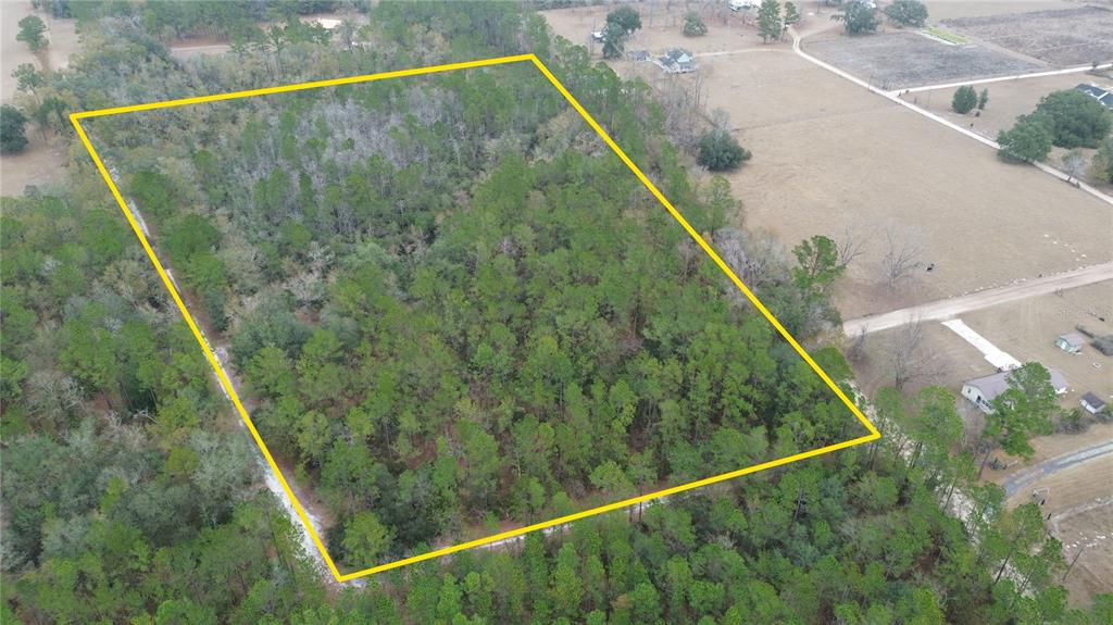 Wollitz Road Glen St. Mary, FL 32040 - Photo 6 of 7