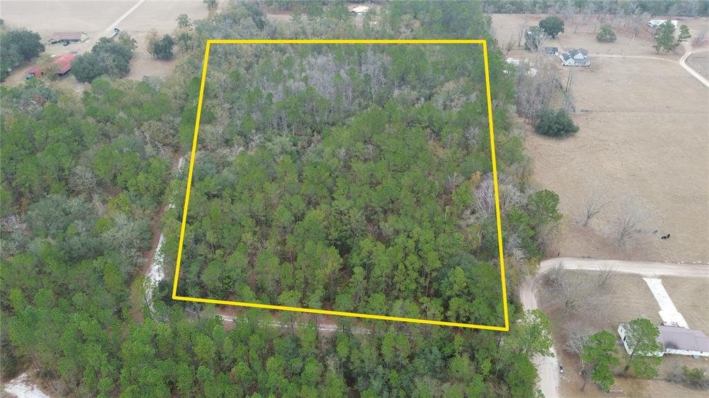 Wollitz Road Glen St. Mary, FL 32040 - Photo 7 of 7