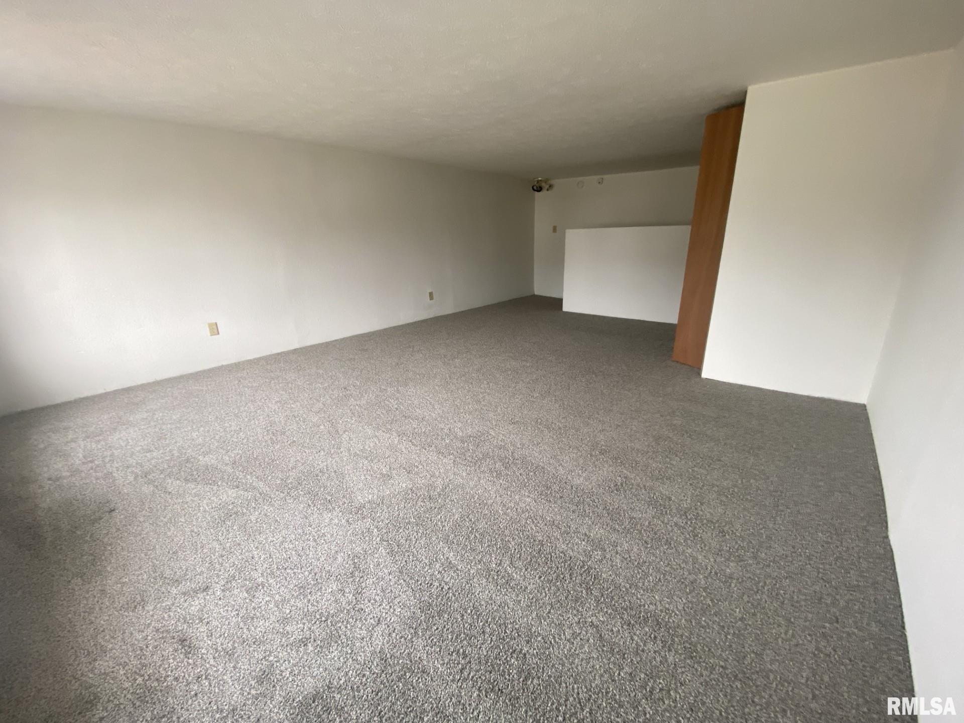356 West Locust Street Canton, IL 61520 - Photo 21 of 27 Gallery Image 21