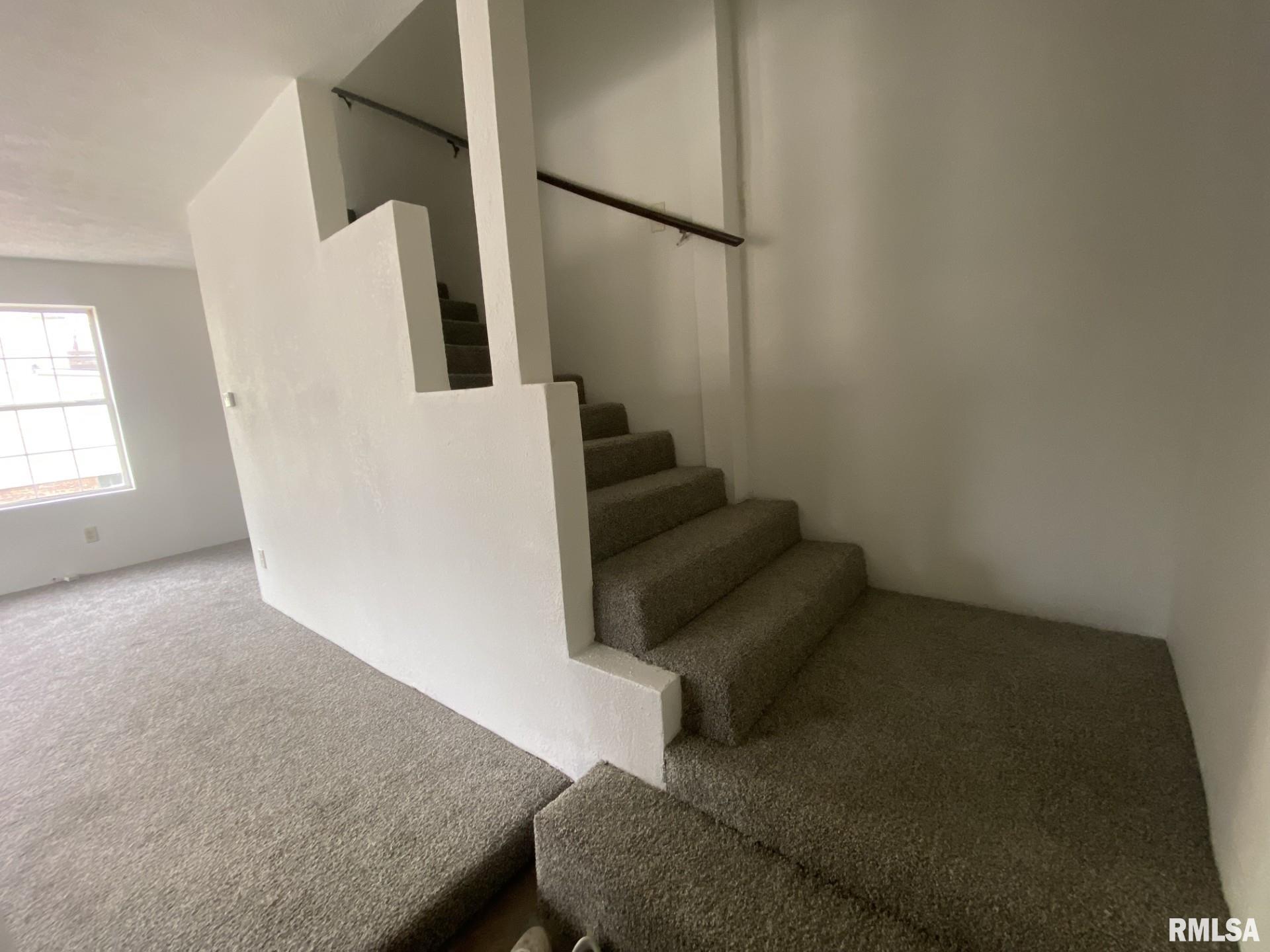 356 West Locust Street Canton, IL 61520 - Photo 4 of 27 Gallery Image 4