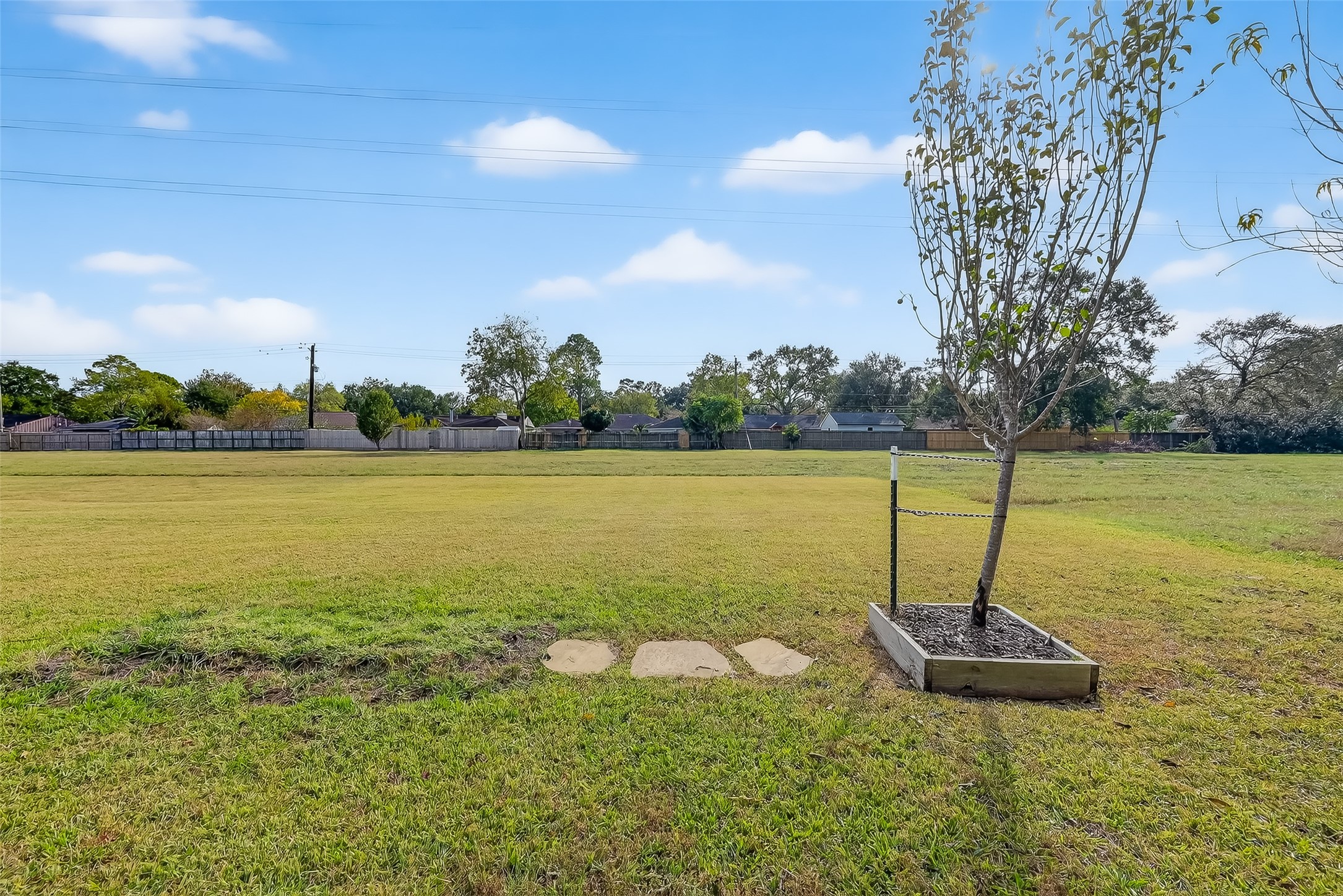 10514 Concha Lane Houston, TX 77096 - Photo 36 of 50 View of large greenspace behind the house with fruit tree.