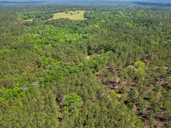 $375,000 | 279 Indian Sink Trail, Thomasville, GA 31792