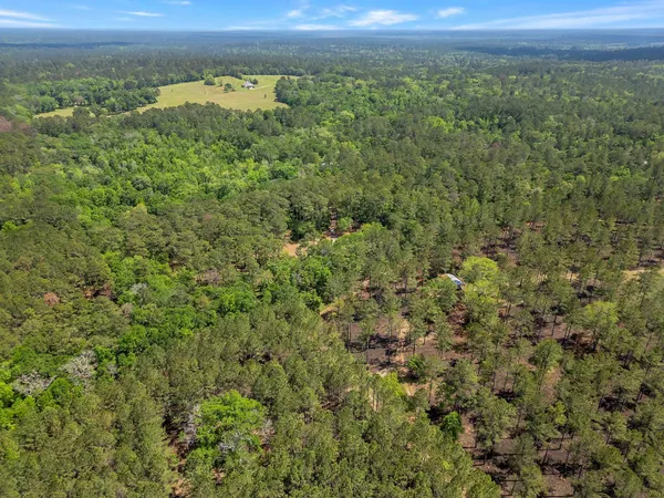 $375,000 | 279 Indian Sink Trail, Thomasville, GA 31792