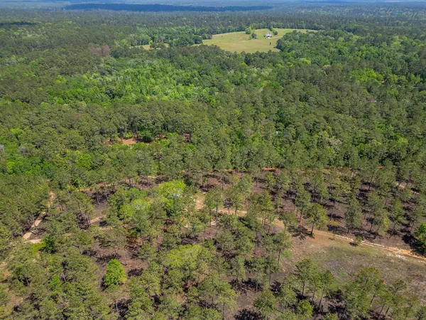 $375,000 | 279 Indian Sink Trail, Thomasville, GA 31792