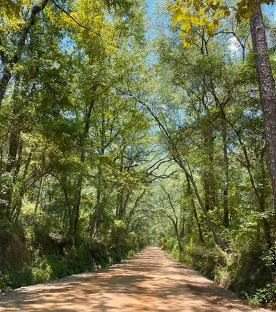 $375,000 | 279 Indian Sink Trail, Thomasville, GA 31792