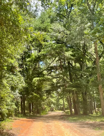 $375,000 | 279 Indian Sink Trail, Thomasville, GA 31792