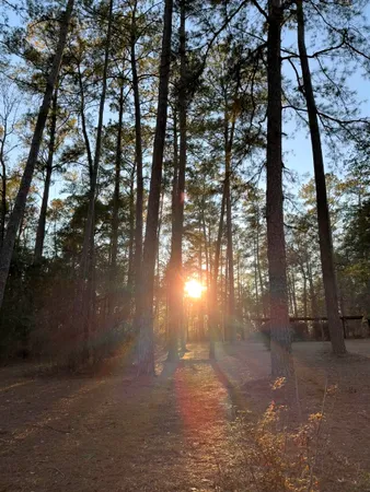 $375,000 | 279 Indian Sink Trail, Thomasville, GA 31792