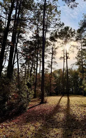 $375,000 | 279 Indian Sink Trail, Thomasville, GA 31792