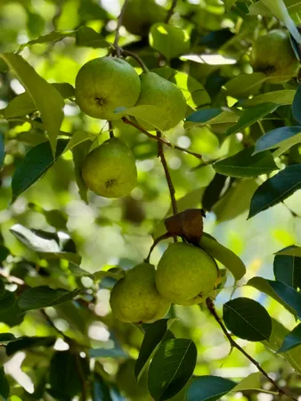 $375,000 | 279 Indian Sink Trail, Thomasville, GA 31792