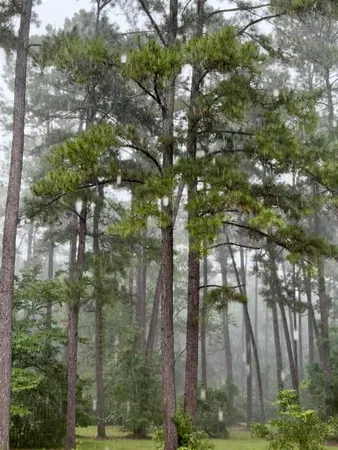 $375,000 | 279 Indian Sink Trail, Thomasville, GA 31792