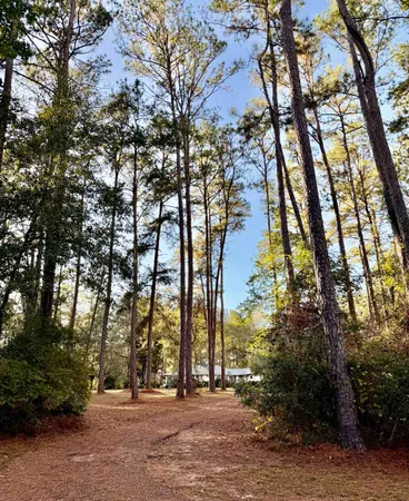$375,000 | 279 Indian Sink Trail, Thomasville, GA 31792