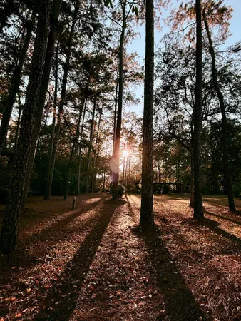 $375,000 | 279 Indian Sink Trail, Thomasville, GA 31792