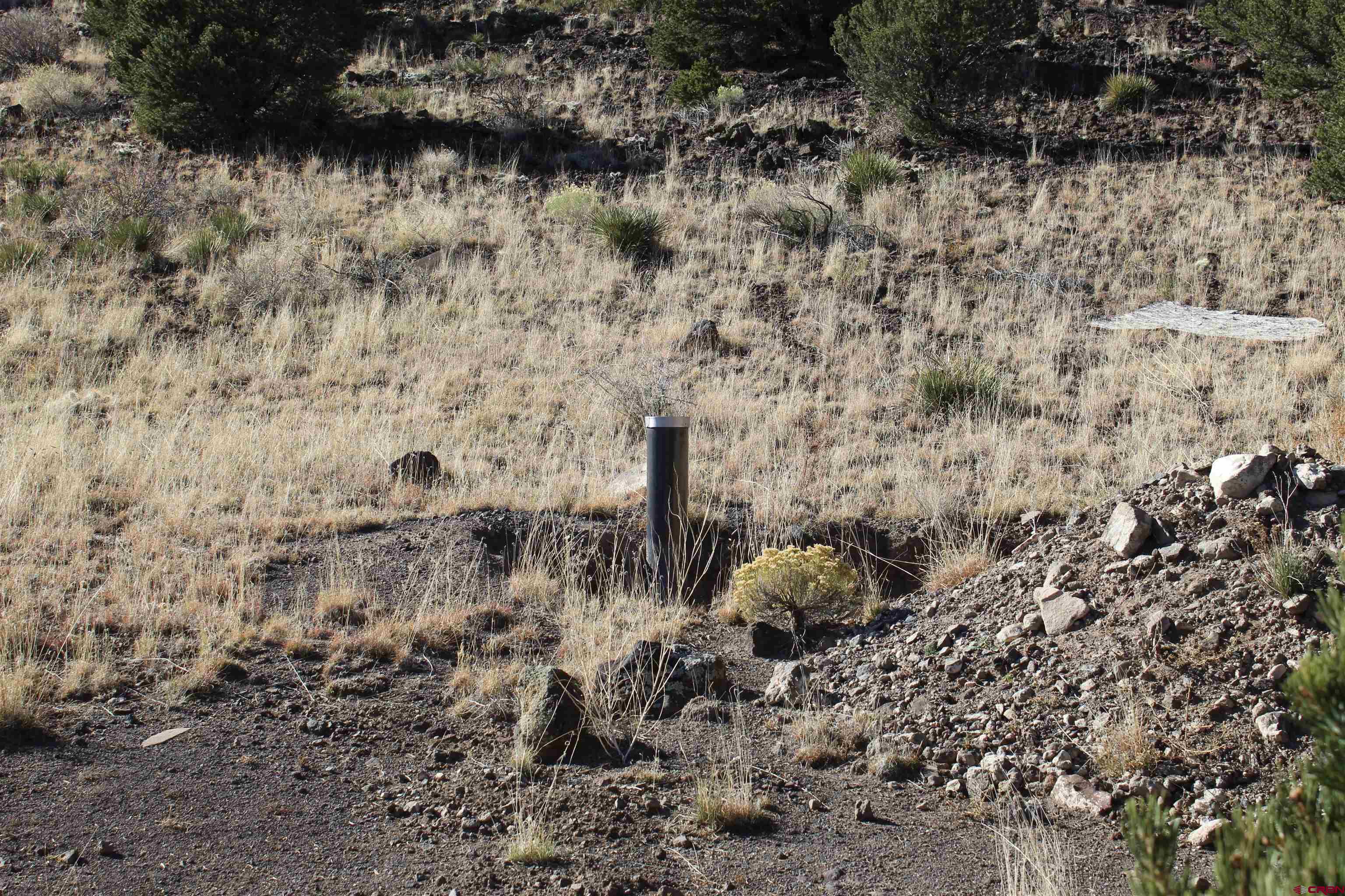 7 Ghost Mine Ranch Del Norte, CO 81132 - Photo 11 of 35 a view of a dry yard