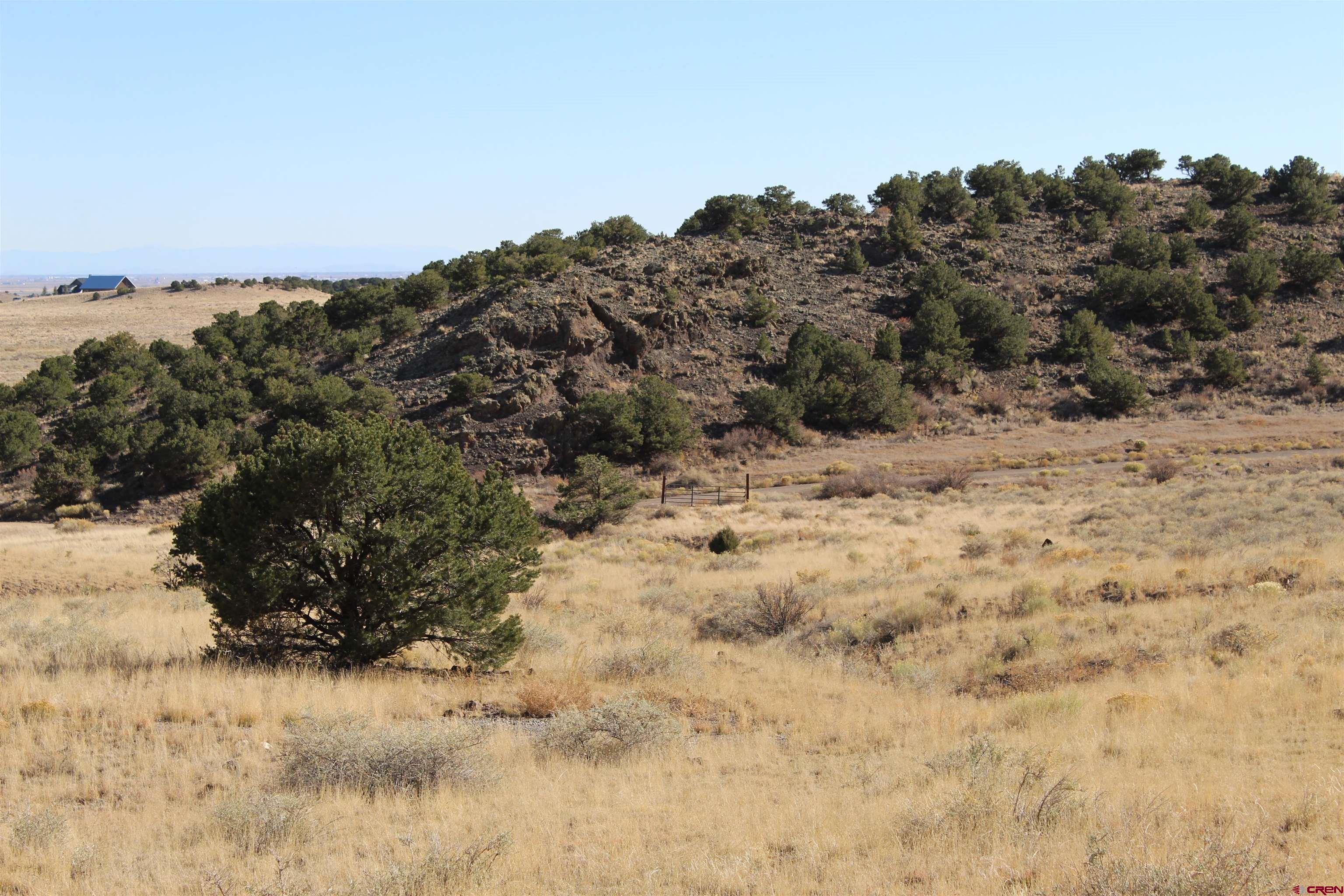 7 Ghost Mine Ranch Del Norte, CO 81132 - Photo 15 of 35 a view of a dry field with a tree in the background