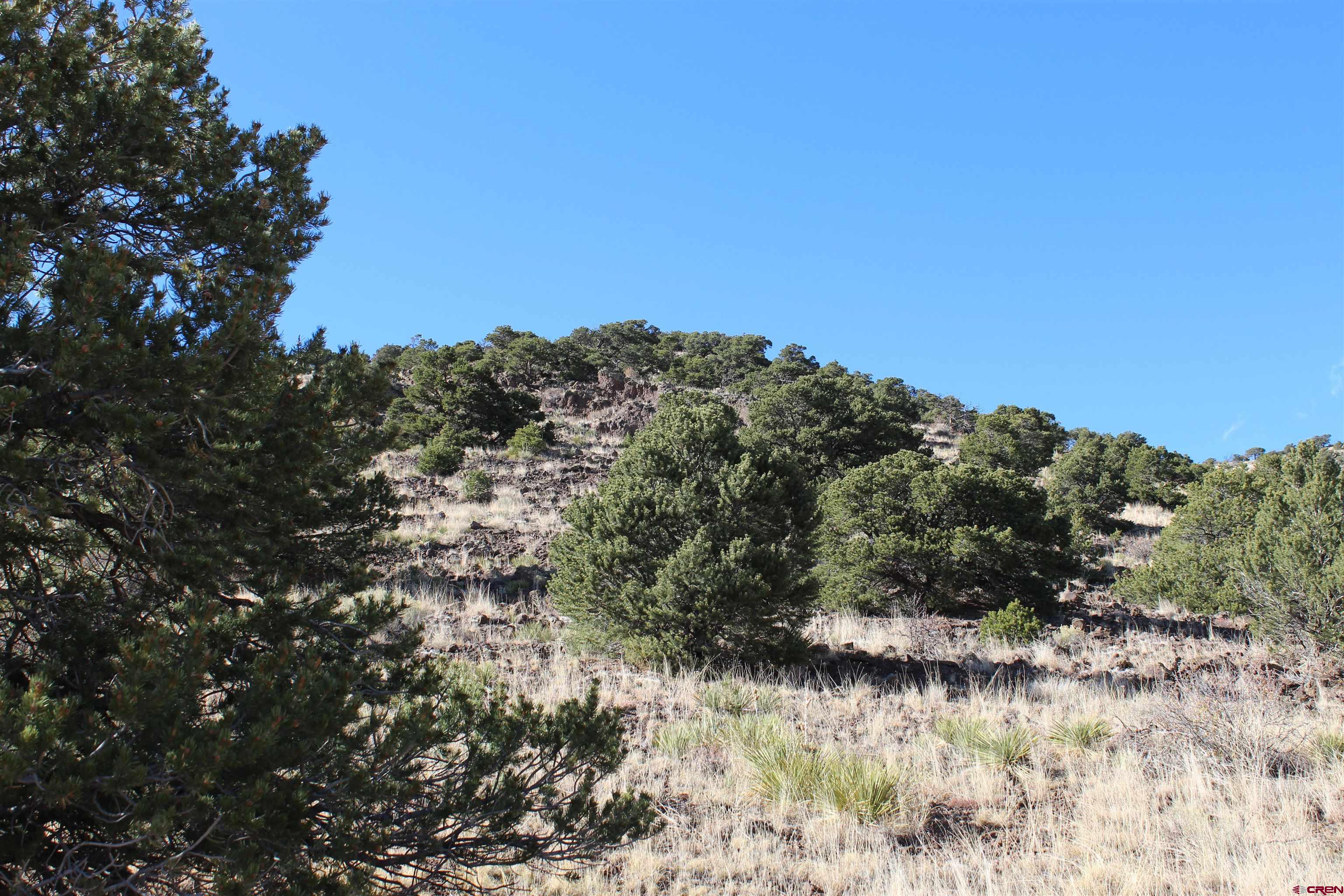 7 Ghost Mine Ranch Del Norte, CO 81132 - Photo 16 of 35 a view of a lake in middle of forest