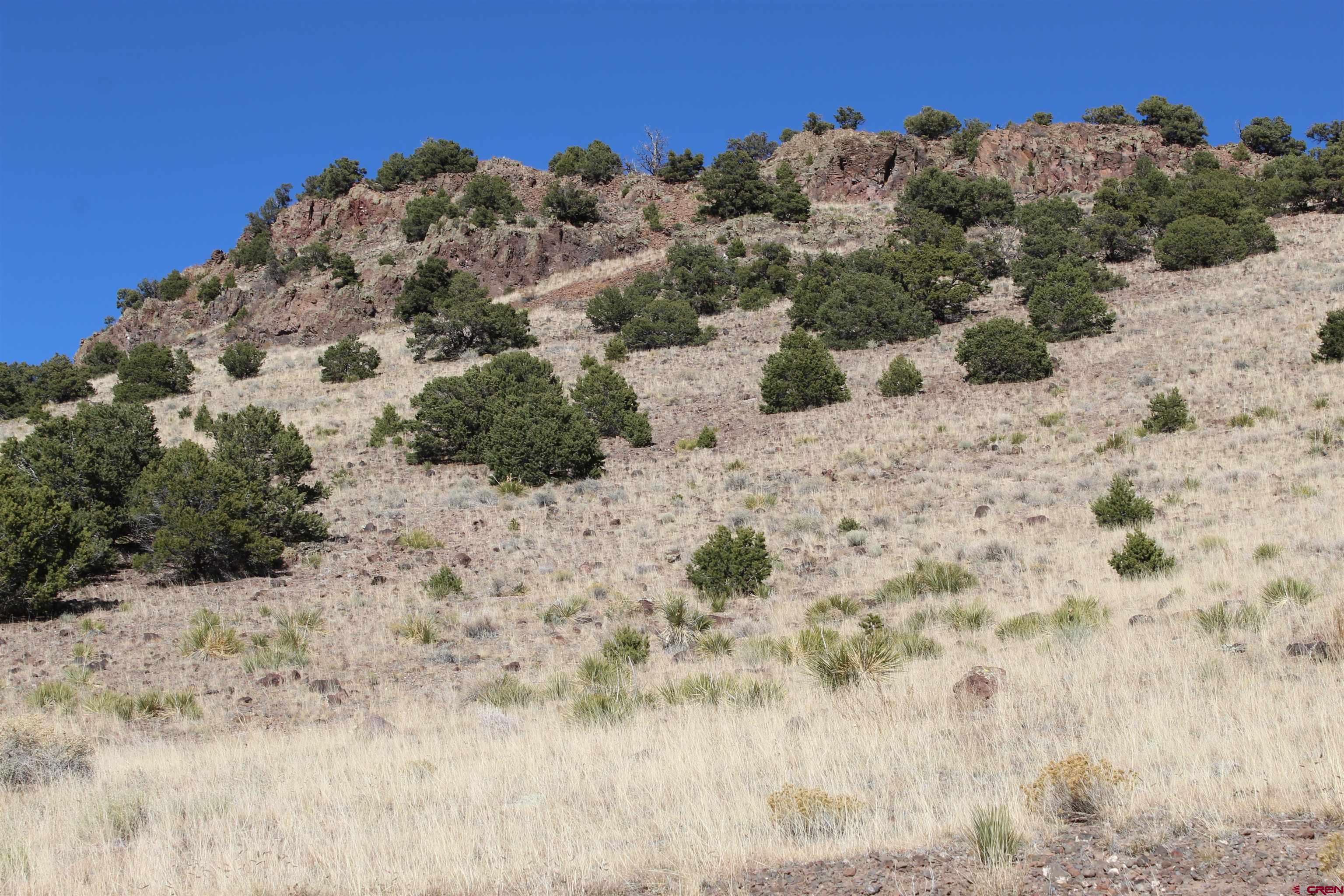 7 Ghost Mine Ranch Del Norte, CO 81132 - Photo 21 of 35 a view of a dry yard covered with snow in the background