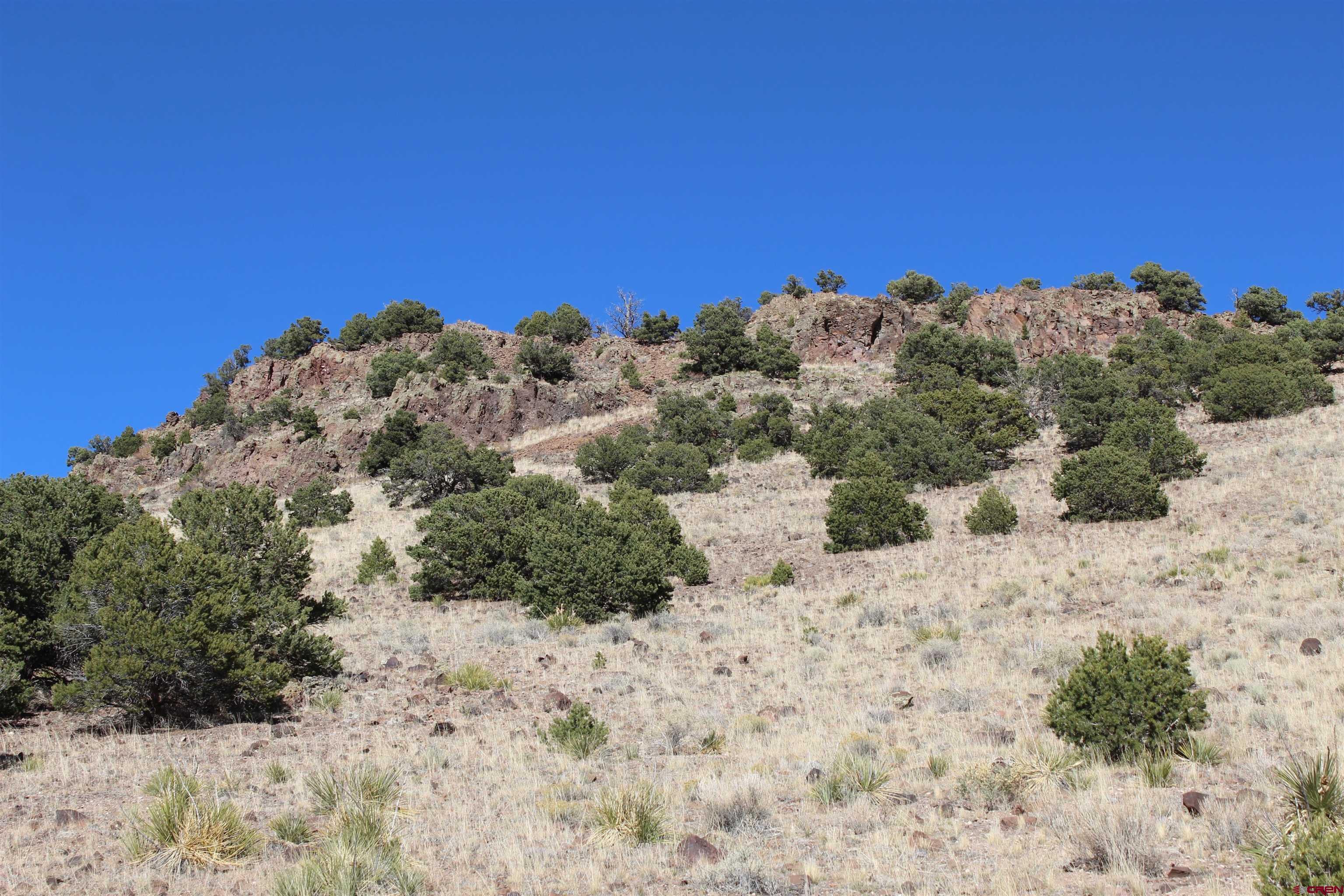 7 Ghost Mine Ranch Del Norte, CO 81132 - Photo 23 of 35 a view of a dry yard with a mountain in the background