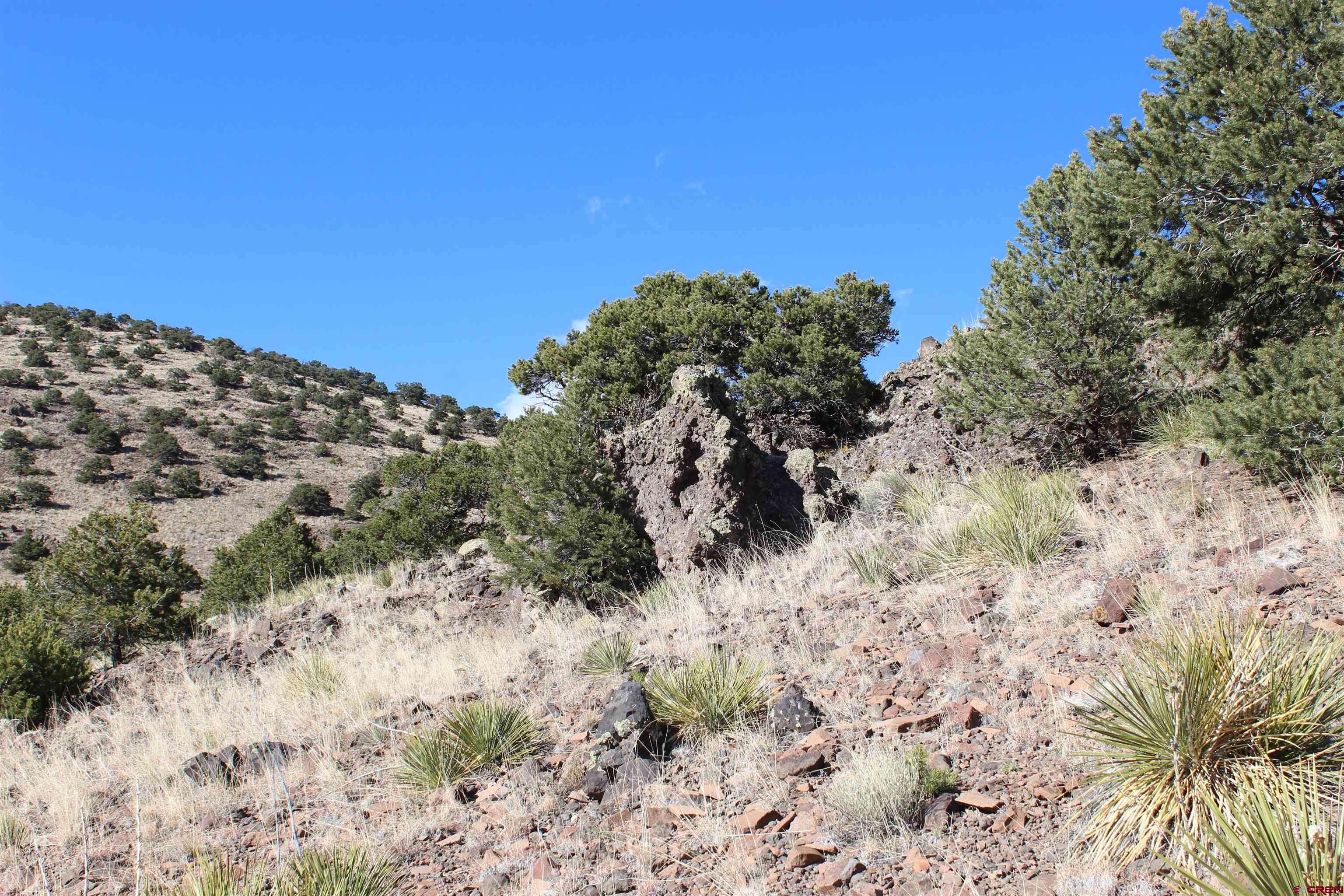 7 Ghost Mine Ranch Del Norte, CO 81132 - Photo 24 of 35