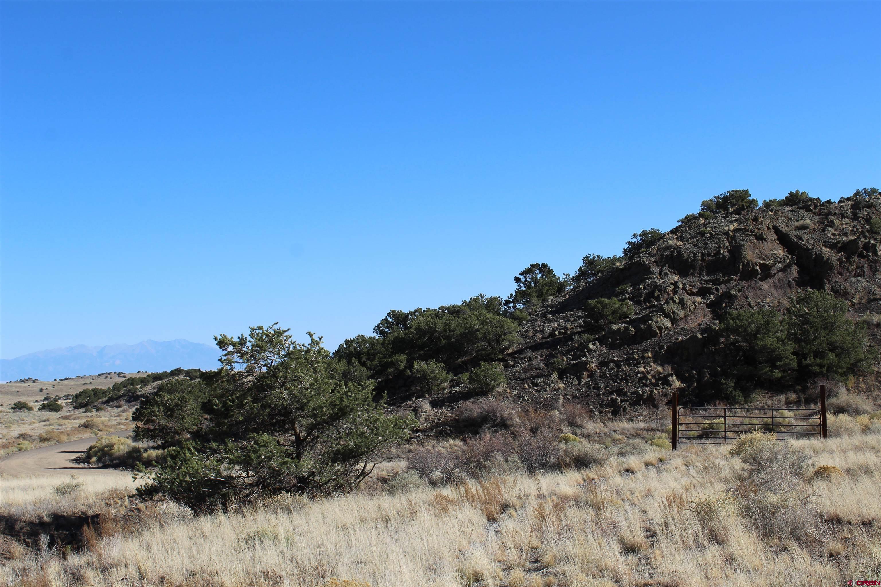 7 Ghost Mine Ranch Del Norte, CO 81132 - Photo 29 of 35 a view of a dry yard with trees in the background