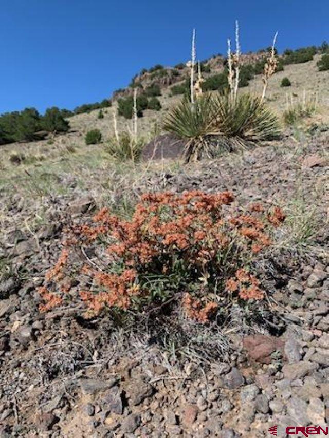 7 Ghost Mine Ranch Del Norte, CO 81132 - Photo 34 of 35 a view of a dry field with trees in front of it