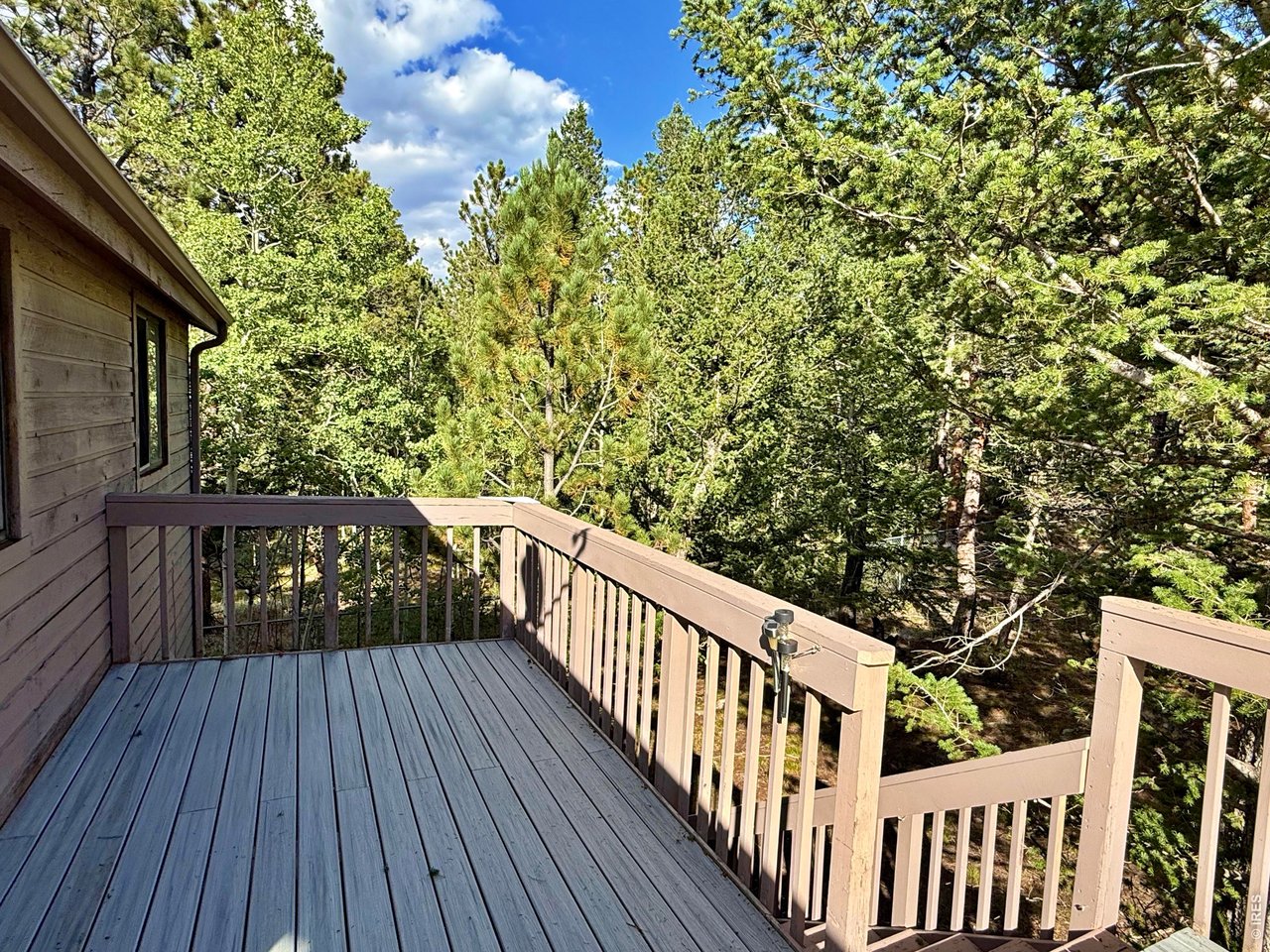 6687 Overland Road Ward, CO 80481 - Photo 32 of 35 Gallery Image 32