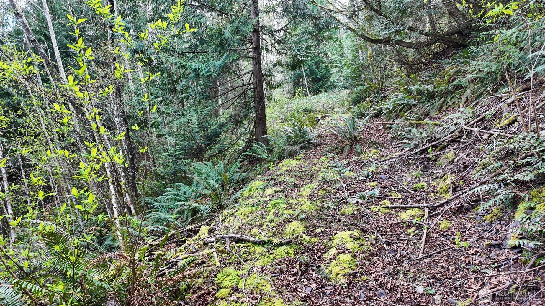 0 Donnell Road Anacortes, WA 98221 - Photo 11 of 21