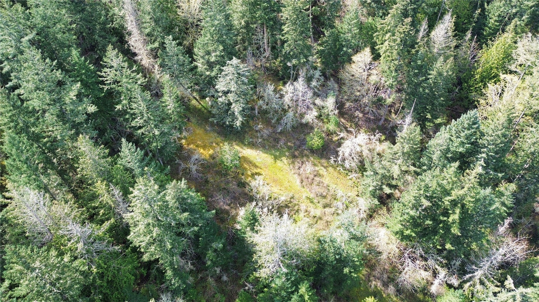 0 Donnell Road Anacortes, WA 98221 - Photo 17 of 21