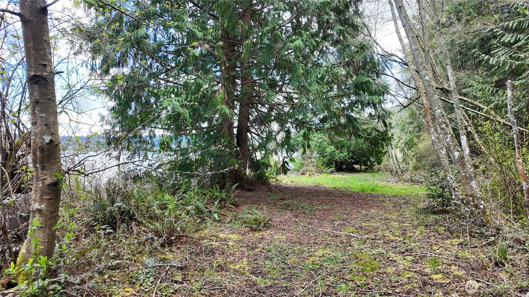 0 Donnell Road Anacortes, WA 98221 - Photo 3 of 21