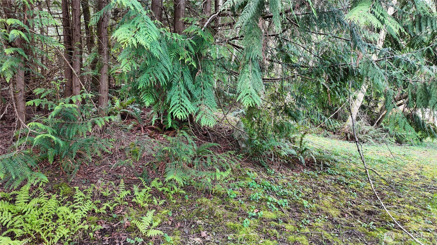 0 Donnell Road Anacortes, WA 98221 - Photo 7 of 21