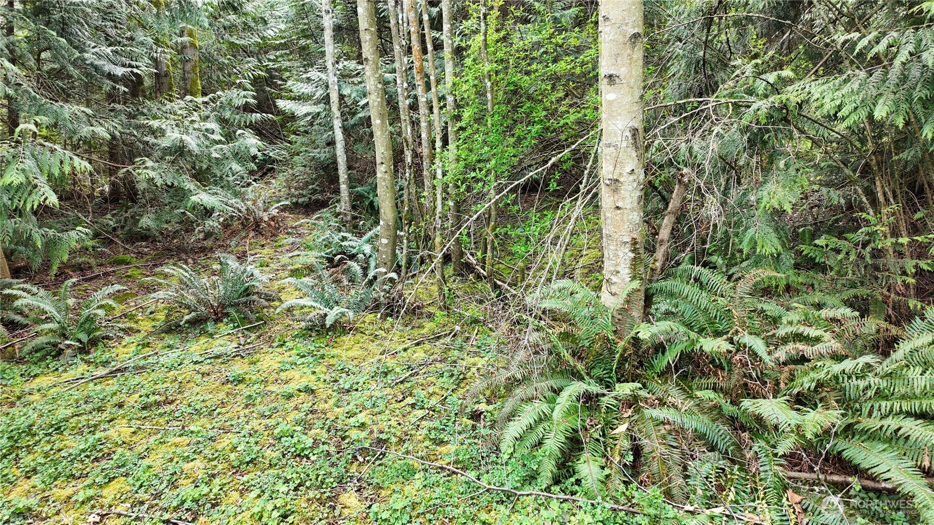0 Donnell Road Anacortes, WA 98221 - Photo 9 of 21