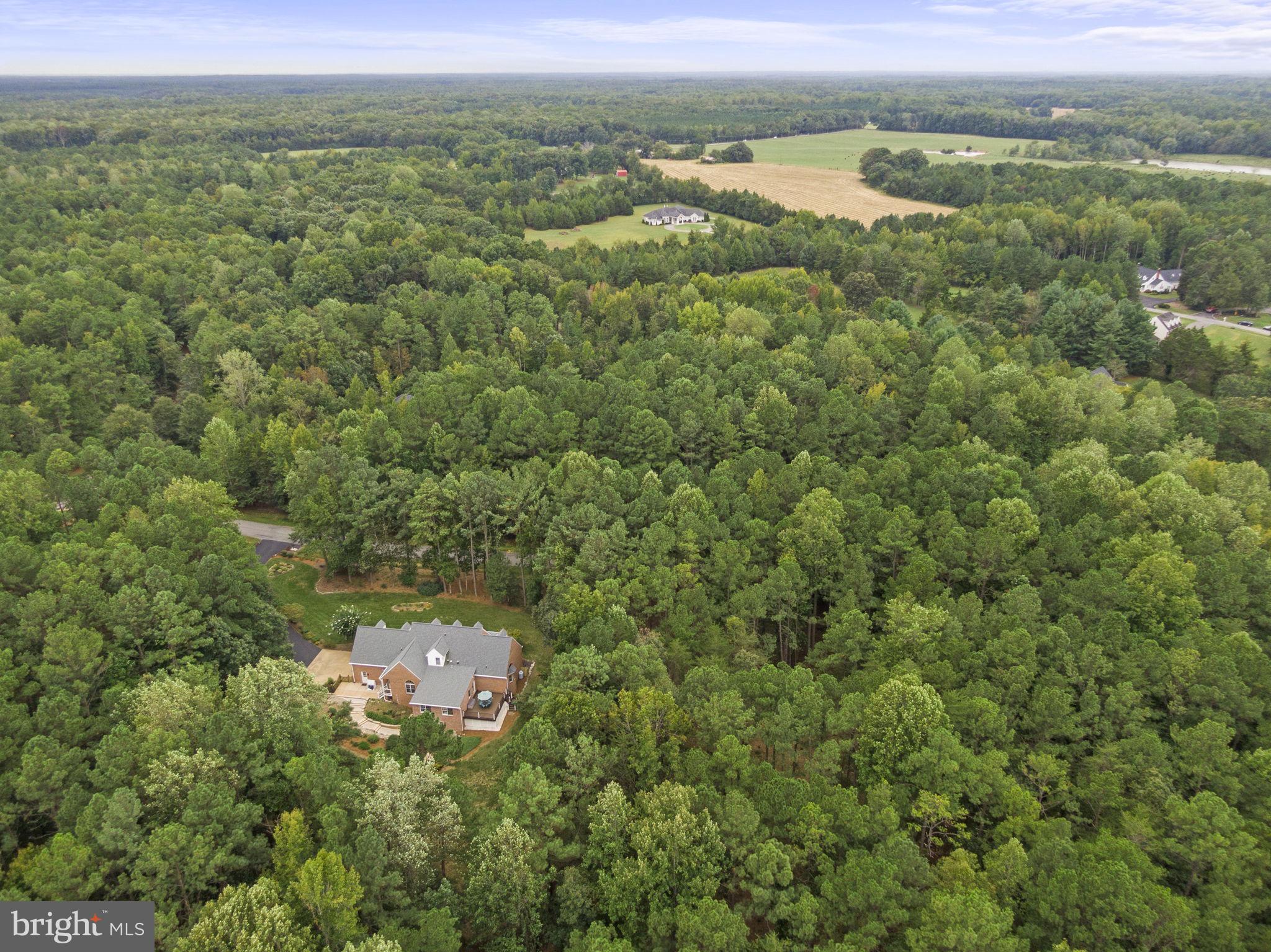 15130 Deep Spring Drive Montpelier, VA 23192 - Photo 61 of 66