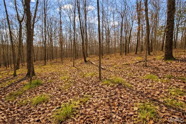 $29,900 | 0 M- Apache Trail, Raymondville, MO 65555