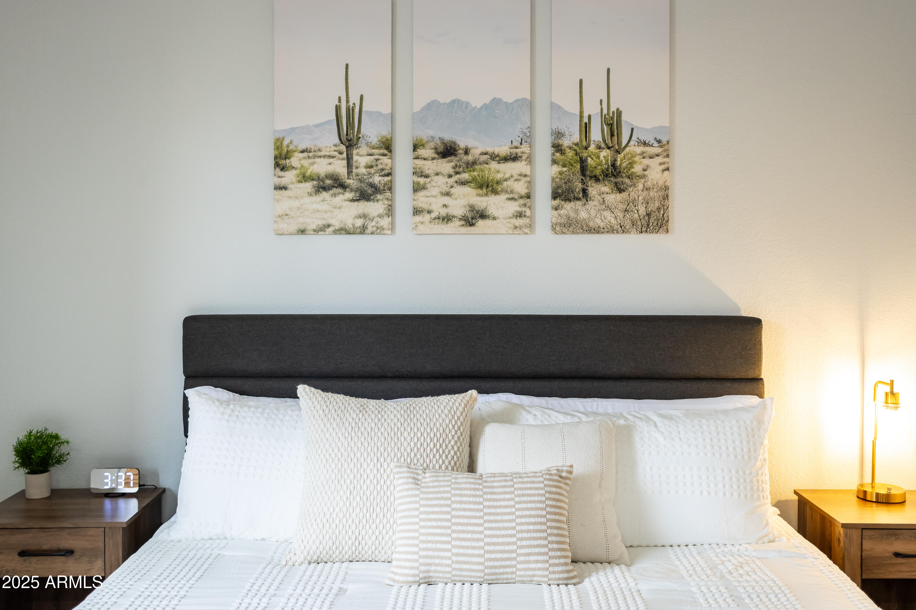 5704 East Aire Libre Avenue, Unit 2051 Scottsdale, AZ 85254 - Photo 50 of 87 AireLibre,Details(22of23)