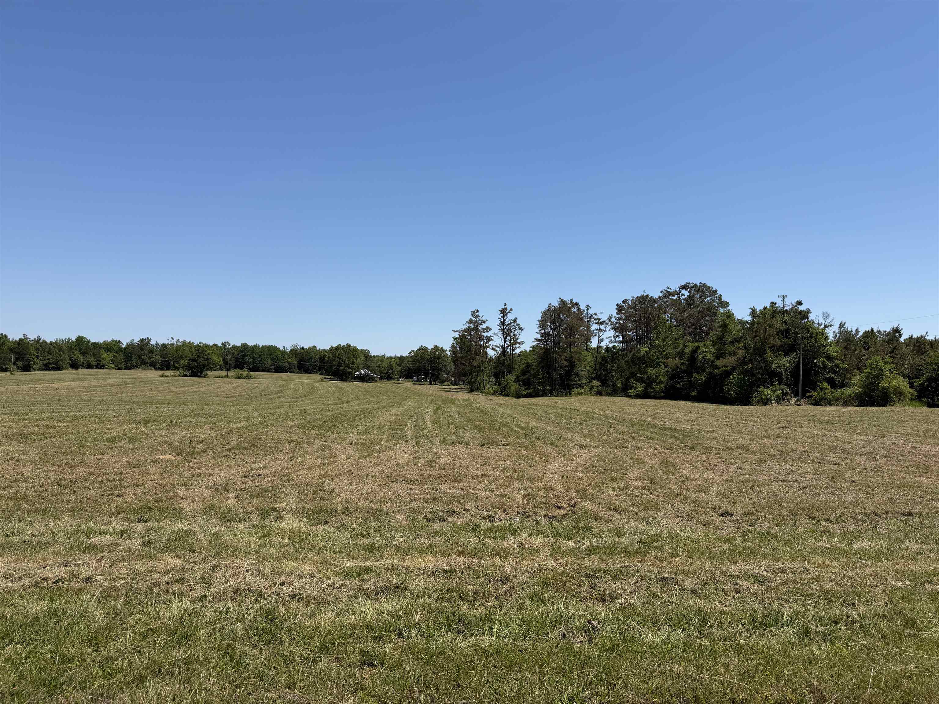 4 69th Highway Adamsville, TN 38310 - Photo 1 of 13