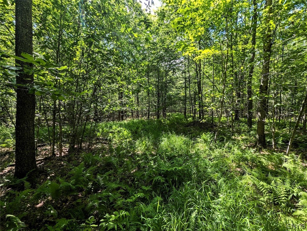 537 Maple Road West Union, NY 14877 - Photo 31 of 50