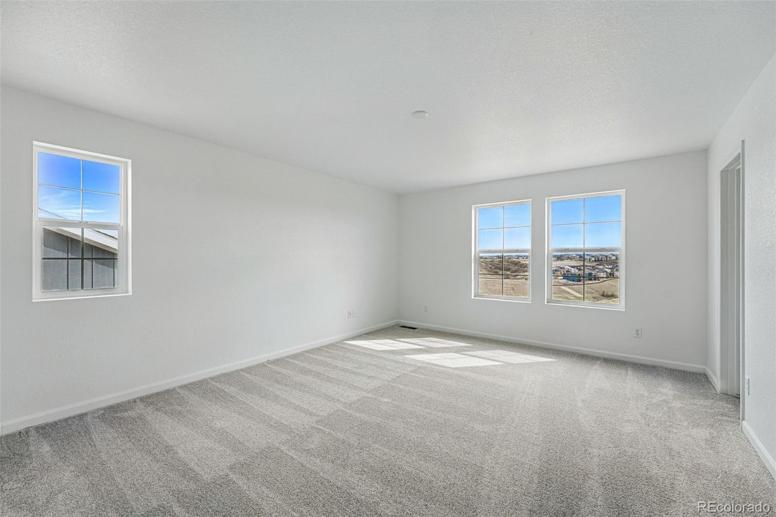 4201 Ridgewalk Point Castle Rock, CO 80108 - Photo 19 of 44 Gallery Image 19