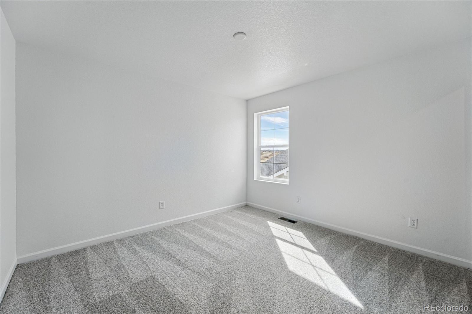 4201 Ridgewalk Point Castle Rock, CO 80108 - Photo 22 of 44 Gallery Image 22