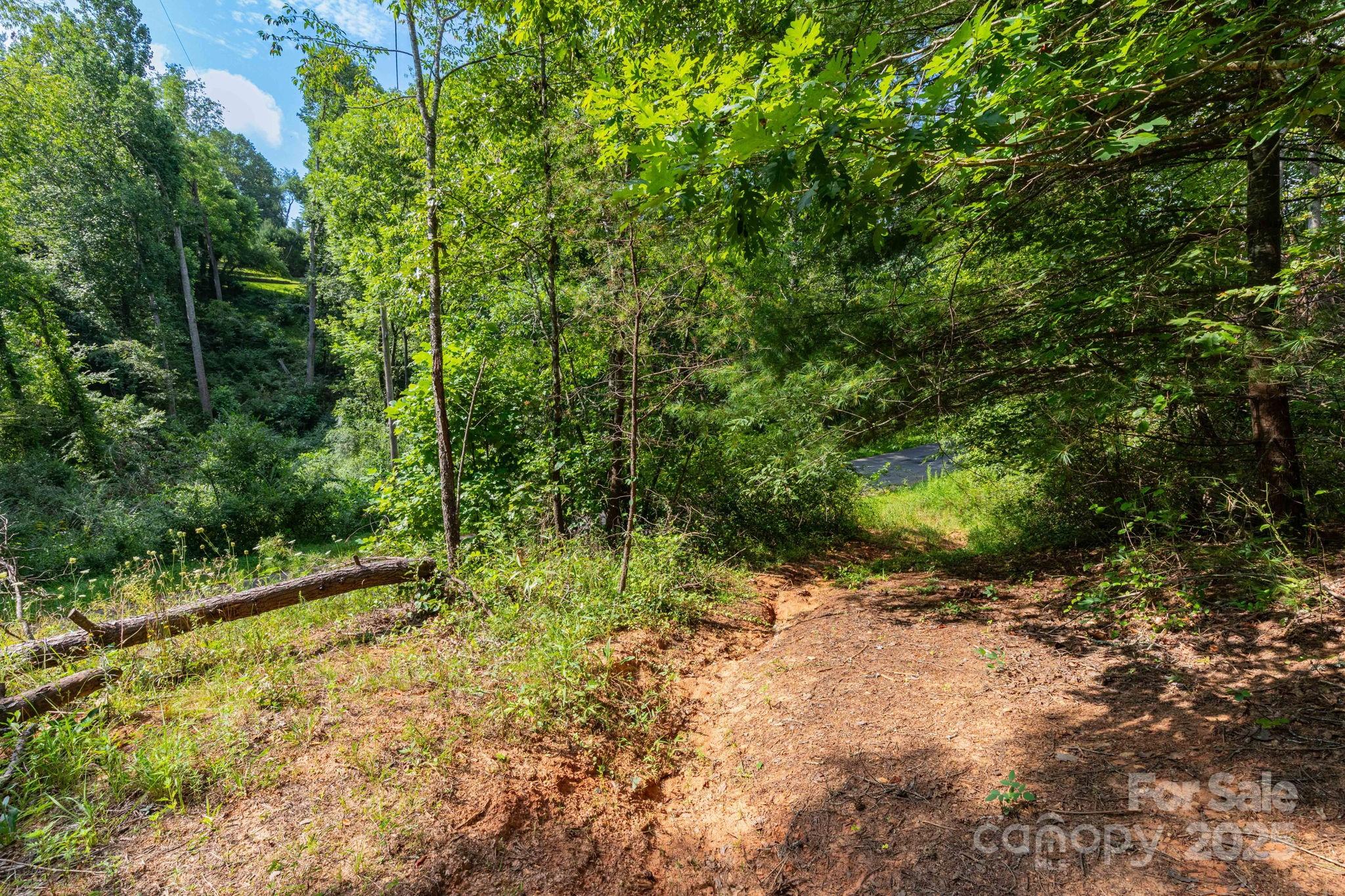 99999 Flynn Branch Road, Unit 3 Asheville, NC 28804 - Photo 11 of 20 a view of outdoor space and trees all around