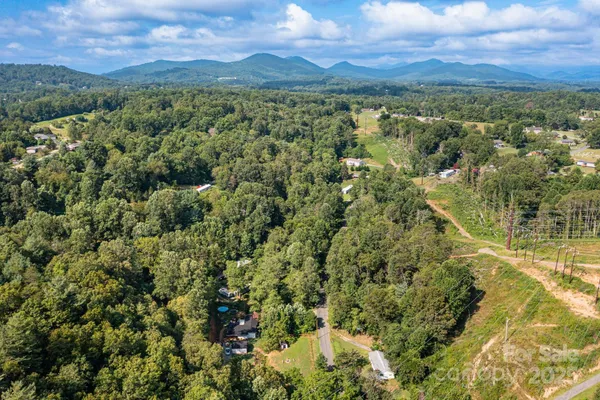 a view of a lush green forest with lots of trees
