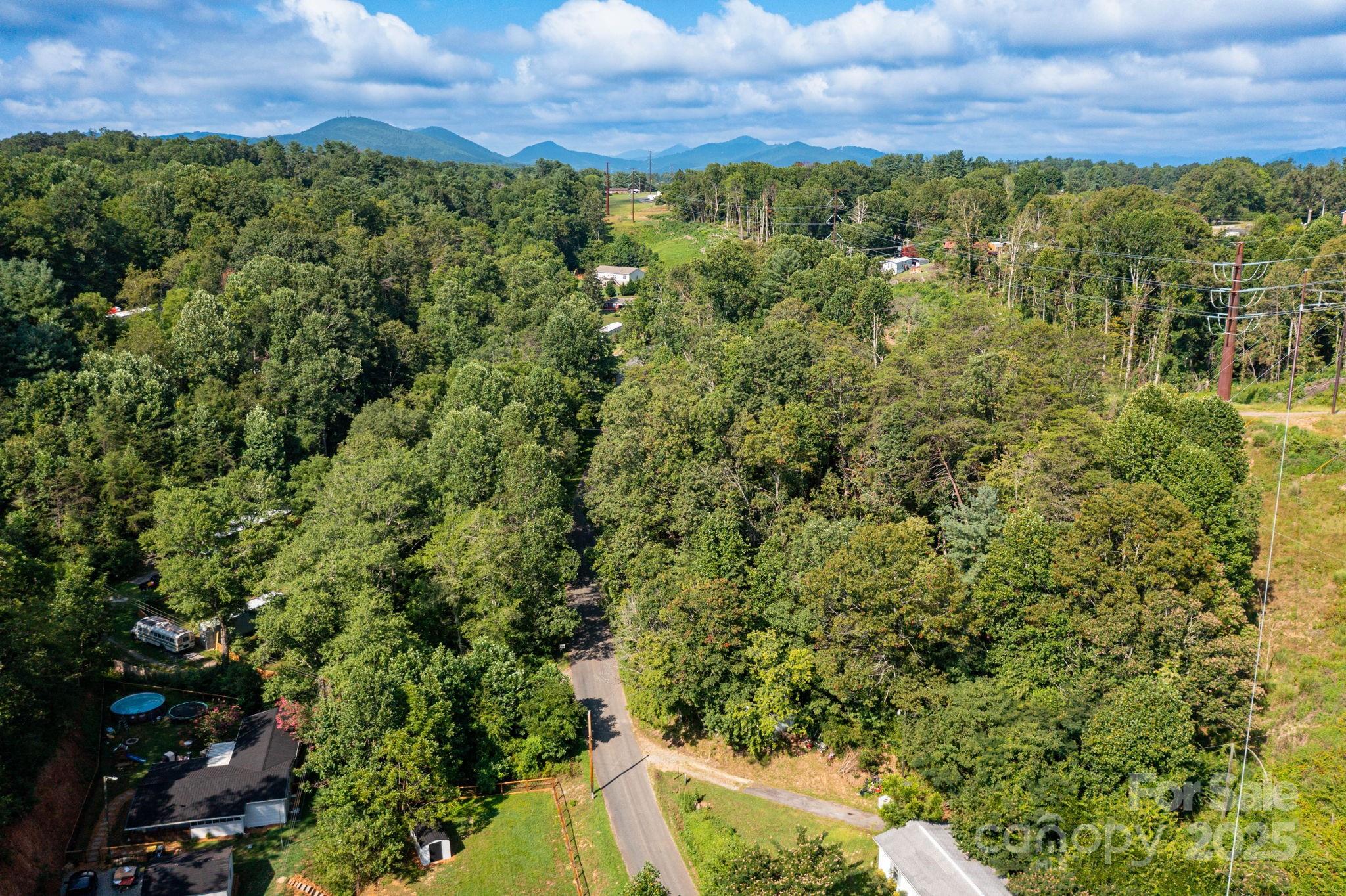 99999 Flynn Branch Road, Unit 3 Asheville, NC 28804 - Photo 17 of 20 a view of a lush green forest with lots of trees
