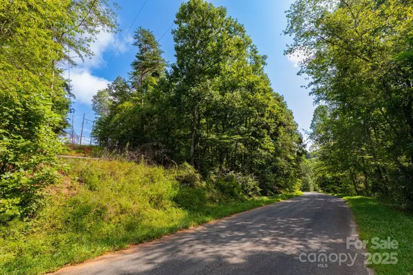 a view of a lush green forest