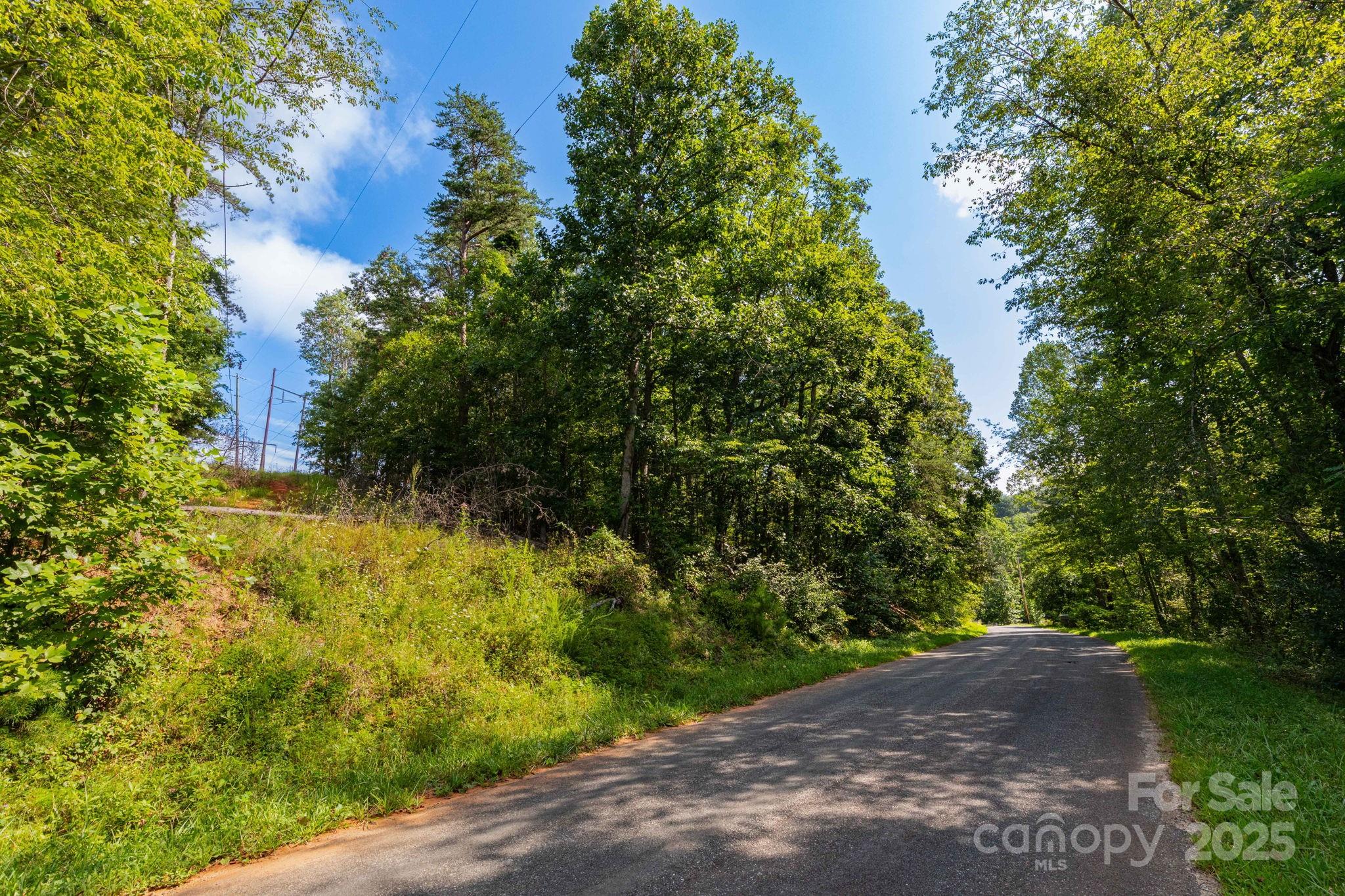 99999 Flynn Branch Road, Unit 3 Asheville, NC 28804 - Photo 5 of 20 a view of a yard with plants and large trees