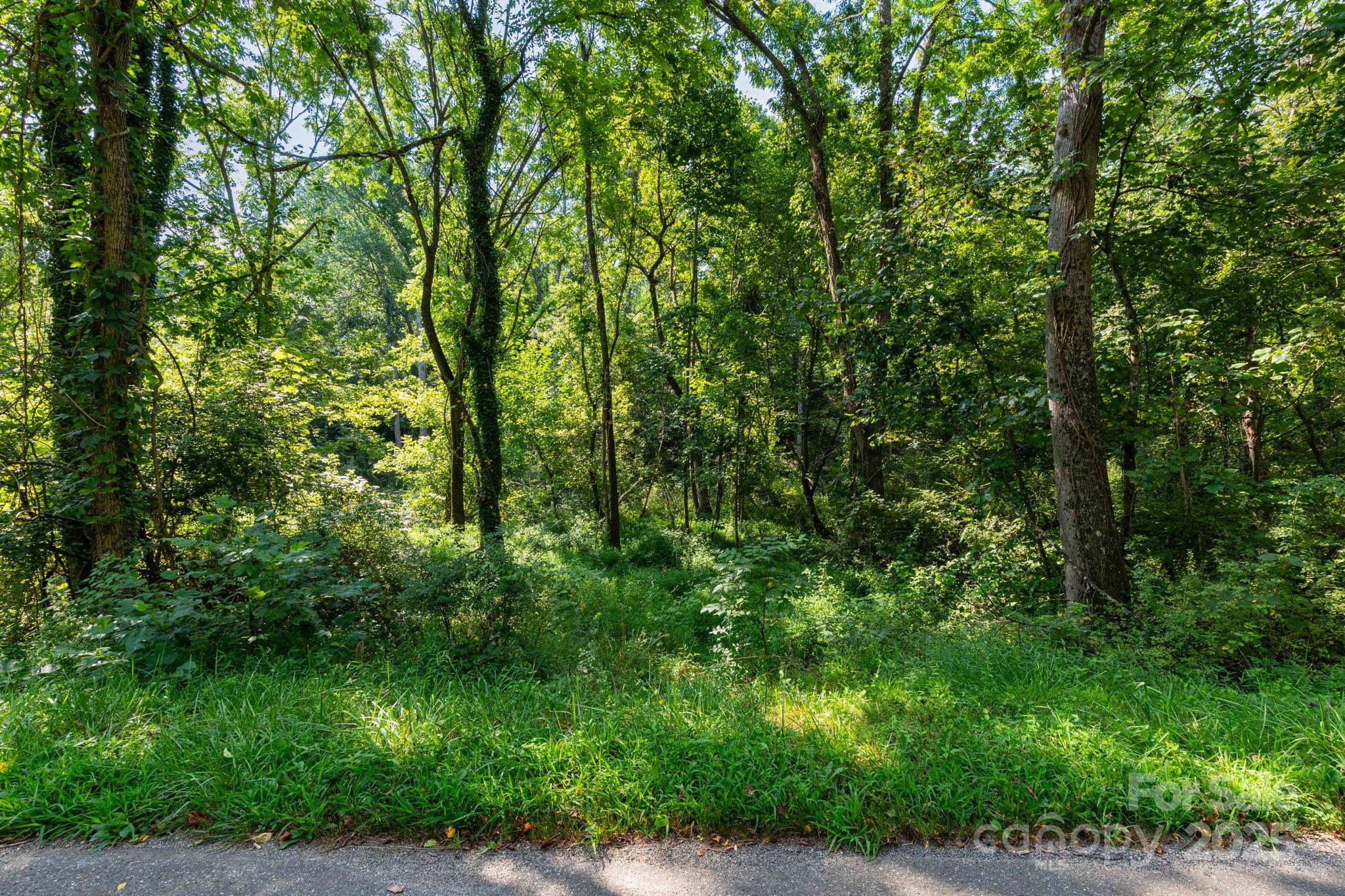 99999 Flynn Branch Road, Unit 3 Asheville, NC 28804 - Photo 6 of 20 a view of a lush green forest