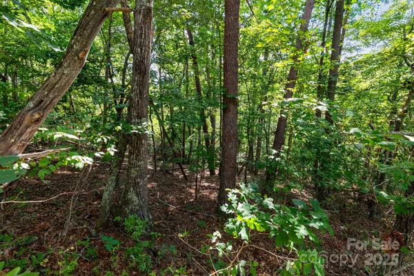 a view of outdoor space and trees all around